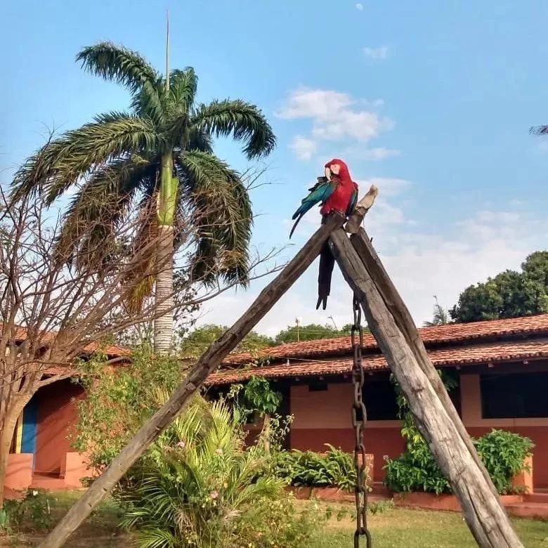 Pousada Estação Lunar Sao Domingos de Goias Exterior foto