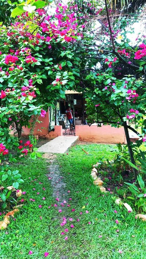 Pousada Estação Lunar Sao Domingos de Goias Exterior foto